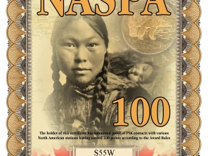 s55w-naspa-100